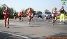 Hipporun 2018-256