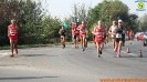 Hipporun 2018-258