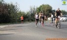 Hipporun 2018-275