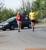 Hipporun 2018-446