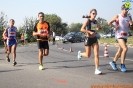 Hipporun 2018-9