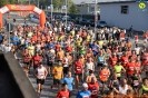 Hipporun 2018-226