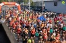 Hipporun 2018-234