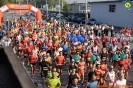 Hipporun 2018-235