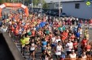 Hipporun 2018-238