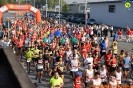 Hipporun 2018-239