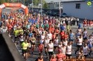 Hipporun 2018-241