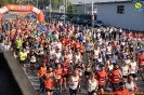 Hipporun 2018-244