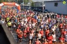 Hipporun 2018-245