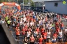 Hipporun 2018-246