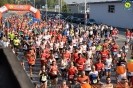 Hipporun 2018-247