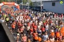 Hipporun 2018-248