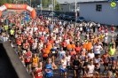 Hipporun 2018-251