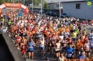 Hipporun 2018-253