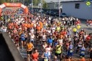 Hipporun 2018-256