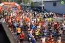 Hipporun 2018-257