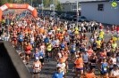 Hipporun 2018-260