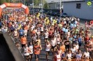 Hipporun 2018-270