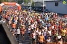 Hipporun 2018-272