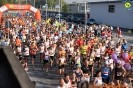 Hipporun 2018-276