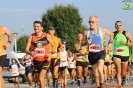 Hipporun 2018-251