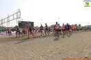 Hipporun 2018-59