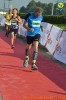 Hipporun 2018-274