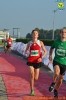 Hipporun 2018-540