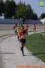 Hipporun 2018-328