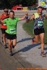 Hipporun 2018-329