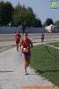 Hipporun 2018-339