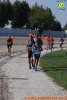 Hipporun 2018-392