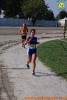 Hipporun 2018-449