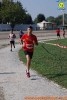 Hipporun 2018-456