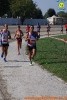 Hipporun 2018-493