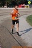 Hipporun 2018-524