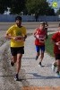 Hipporun 2018-524