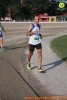 Hipporun 2018-543