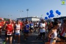 Hipporun 2018-620