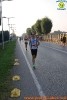 Hipporun 2018-704