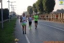 Hipporun 2018-705