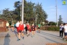 Hipporun 2018-730