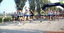 Hippoten 2018-351