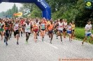 Hipporun 2019-754