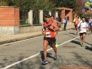 Borgaro-522