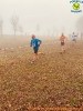Cross Borgaretto-768