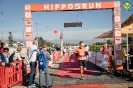 Hipporun2022-109