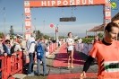 Hipporun2022-110