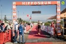 Hipporun2022-111