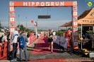 Hipporun2022-113